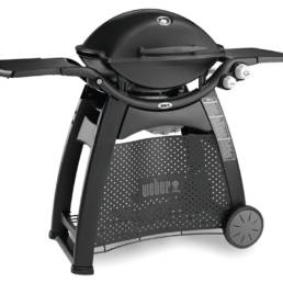 This stems from the speed of its cooking, its ability to easily cater for big parties, all the while being extremely economical.